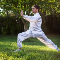 Mann macht Tai Chi auf Wiese vor Bäumen weißer Trainingsanzug