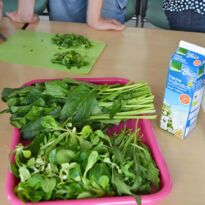 Feldsalat und Spinat als grüne Zutaten