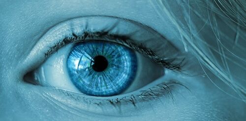 Augengesundheit – Gesunde Bildschirmarbeit