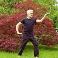 Mann macht Tai Chi auf Wiese vor Bäumen